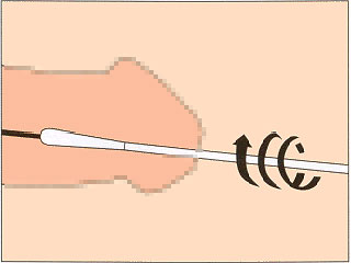 尿道に綿棒入れるの気持ちよすぎやろ