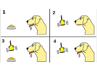 ワイ、オナホでパブロフの犬を実感する